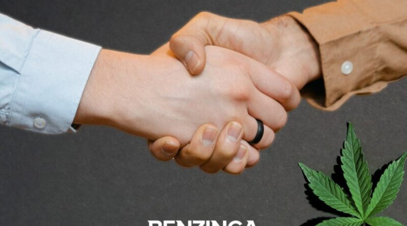 How Cannabis Companies Can Succeed: 'Funding Is Hard to Get,' But Relationships Hold the Key